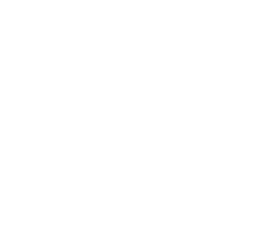 logo 2 1